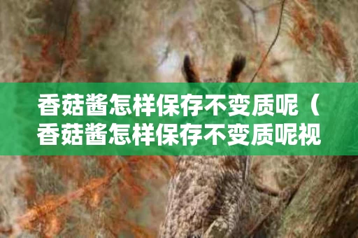 香菇酱怎样保存不变质呢（香菇酱怎样保存不变质呢视频）