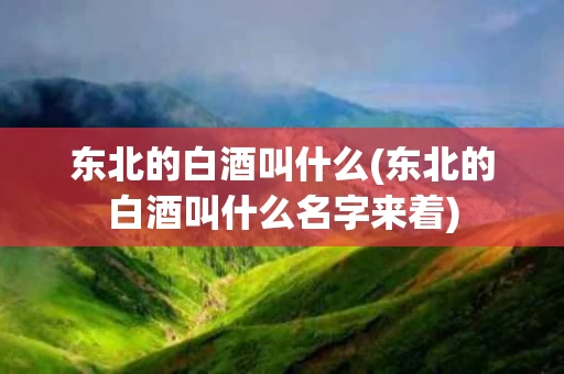 东北的白酒叫什么(东北的白酒叫什么名字来着)