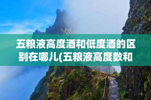 五粮液高度酒和低度酒的区别在哪儿(五粮液高度数和低度数区别)
