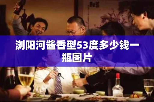 浏阳河酱香型53度多少钱一瓶图片