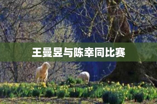 王曼昱与陈幸同比赛