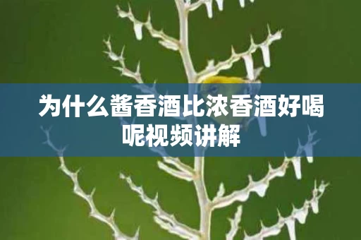 为什么酱香酒比浓香酒好喝呢视频讲解