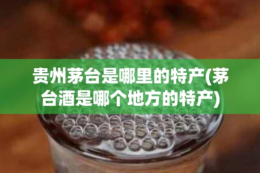 贵州茅台是哪里的特产(茅台酒是哪个地方的特产)
