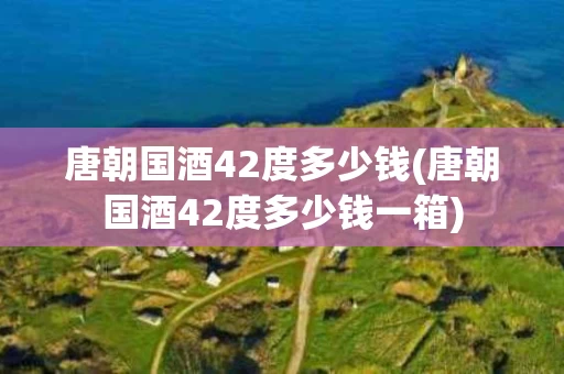 唐朝国酒42度多少钱(唐朝国酒42度多少钱一箱)