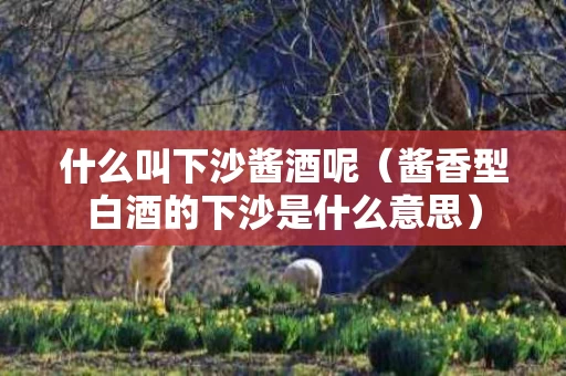 什么叫下沙酱酒呢（酱香型白酒的下沙是什么意思）