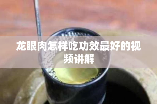 龙眼肉怎样吃功效最好的视频讲解