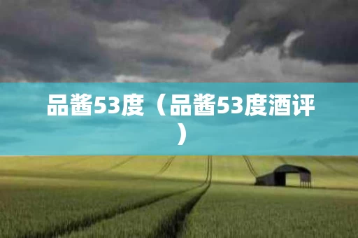 品酱53度（品酱53度酒评）