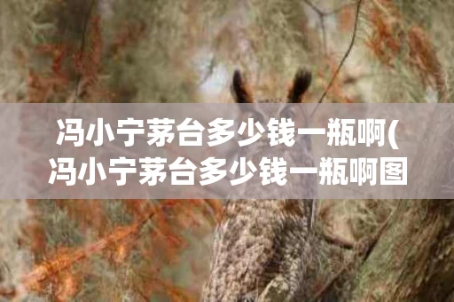 冯小宁茅台多少钱一瓶啊(冯小宁茅台多少钱一瓶啊图片)