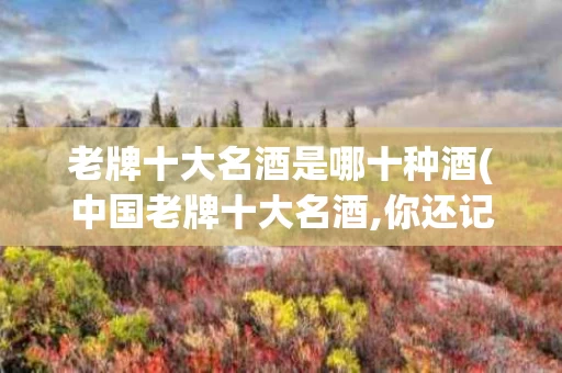 老牌十大名酒是哪十种酒(中国老牌十大名酒,你还记得吗?)