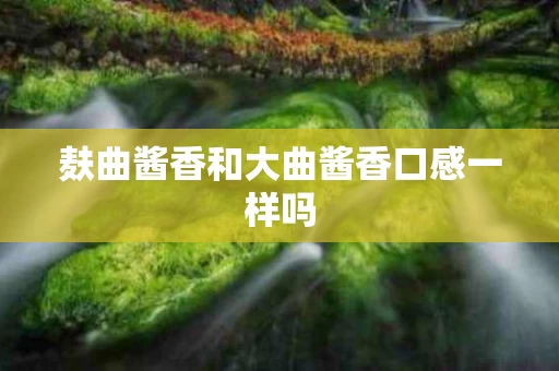 麸曲酱香和大曲酱香口感一样吗