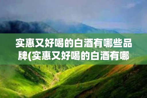 实惠又好喝的白酒有哪些品牌(实惠又好喝的白酒有哪些品牌好)