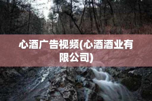 心酒广告视频(心酒酒业有限公司)
