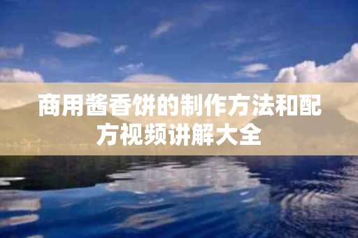 商用酱香饼的制作方法和配方视频讲解大全
