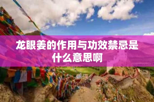 龙眼姜的作用与功效禁忌是什么意思啊