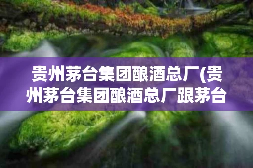 贵州茅台集团酿酒总厂(贵州茅台集团酿酒总厂跟茅台集团出品有什么区别)