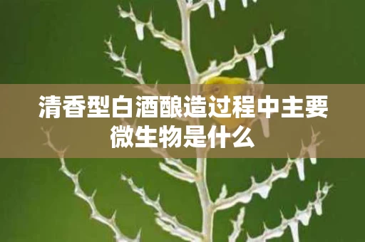 清香型白酒酿造过程中主要微生物是什么