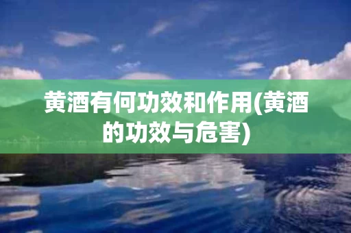 黄酒有何功效和作用(黄酒的功效与危害)