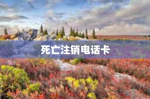 死亡注销电话卡