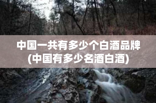 中国一共有多少个白酒品牌(中国有多少名酒白酒)