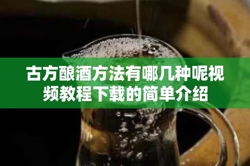 古方酿酒方法有哪几种呢视频教程下载的简单介绍