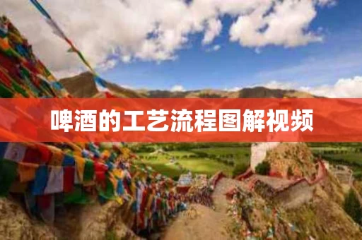 啤酒的工艺流程图解视频