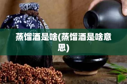 蒸馏酒是啥(蒸馏酒是啥意思)