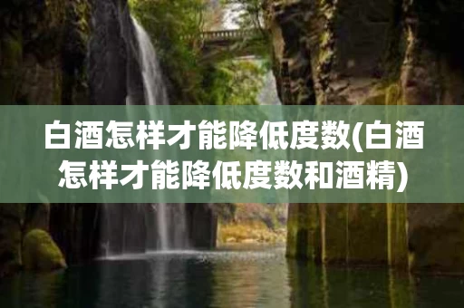 白酒怎样才能降低度数(白酒怎样才能降低度数和酒精)