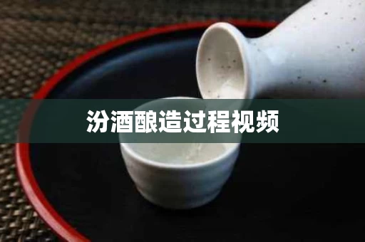 汾酒酿造过程视频