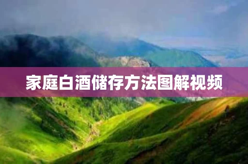 家庭白酒储存方法图解视频