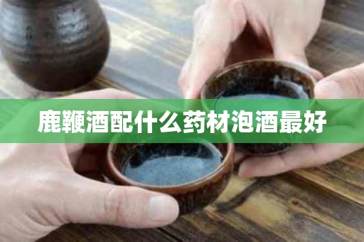 鹿鞭酒配什么药材泡酒最好