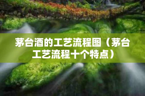 茅台酒的工艺流程图（茅台工艺流程十个特点）