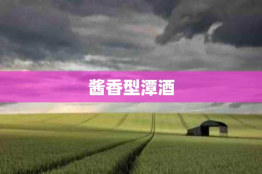 酱香型潭酒