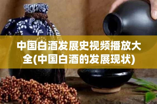 中国白酒发展史视频播放大全(中国白酒的发展现状)