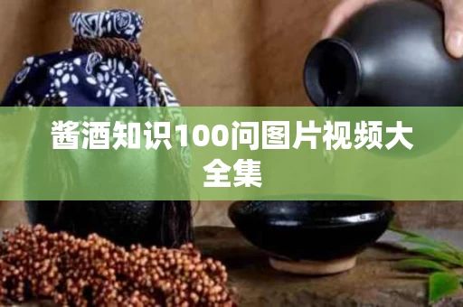 酱酒知识100问图片视频大全集