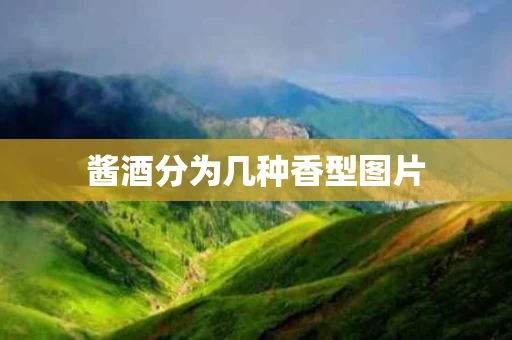 酱酒分为几种香型图片