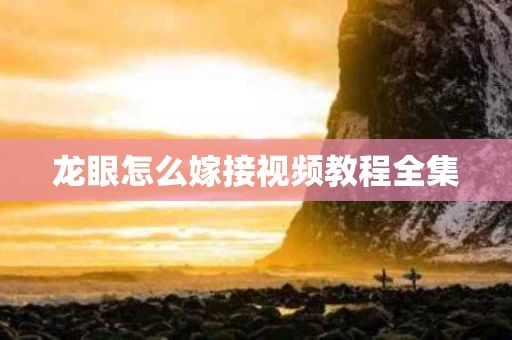 龙眼怎么嫁接视频教程全集