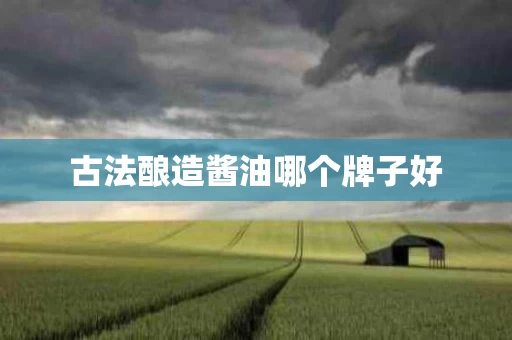 古法酿造酱油哪个牌子好