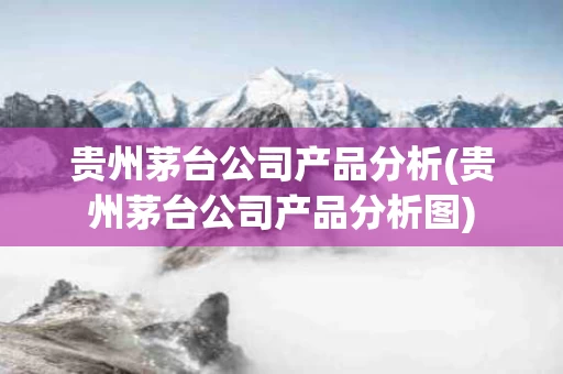 贵州茅台公司产品分析(贵州茅台公司产品分析图)