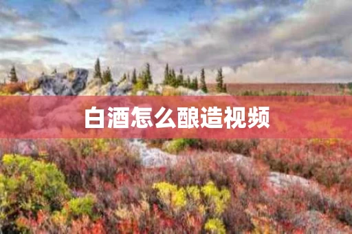 白酒怎么酿造视频