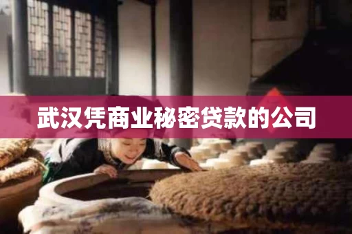 武汉凭商业秘密贷款的公司