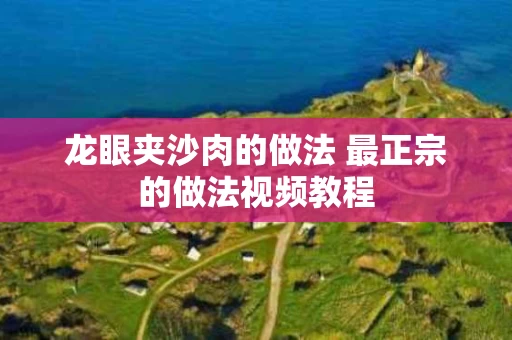 龙眼夹沙肉的做法 最正宗的做法视频教程