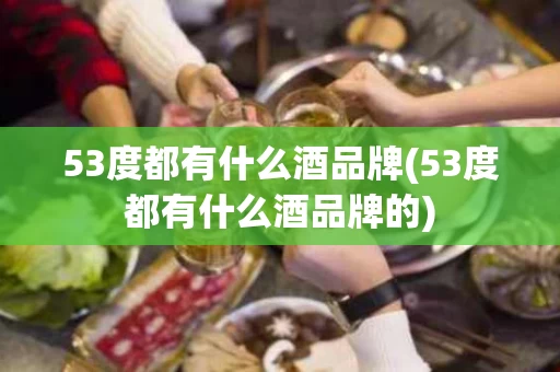 53度都有什么酒品牌(53度都有什么酒品牌的)
