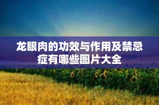 龙眼肉的功效与作用及禁忌症有哪些图片大全 龙眼肉的功效与作用及禁忌症有哪些图片大全