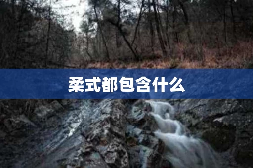 柔式都包含什么
