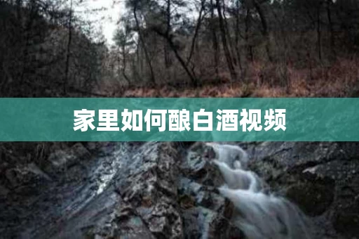 家里如何酿白酒视频