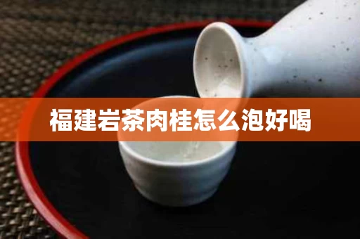 福建岩茶肉桂怎么泡好喝