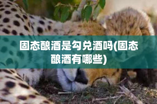 固态酿酒是勾兑酒吗(固态酿酒有哪些)