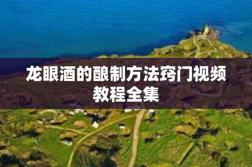 龙眼酒的酿制方法窍门视频教程全集