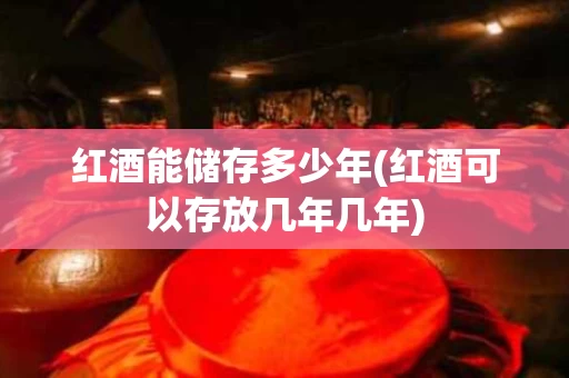红酒能储存多少年(红酒可以存放几年几年)