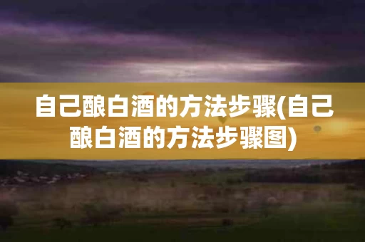 自己酿白酒的方法步骤(自己酿白酒的方法步骤图)